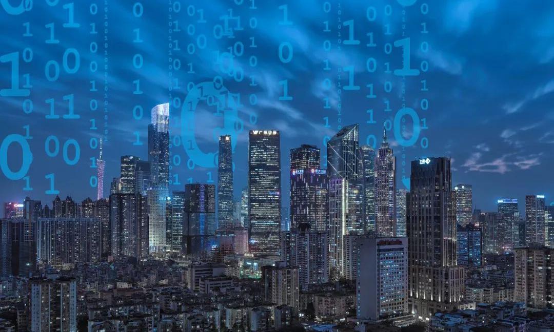 数字政府：新疆生产建设兵团信息资源目录体系建设项目